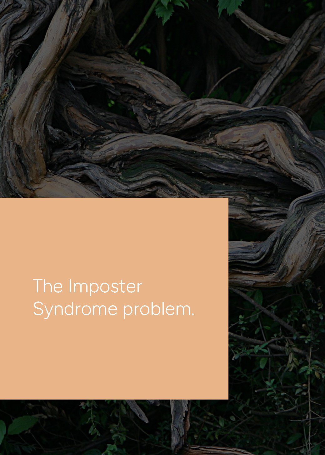 Unbound_Script4_ThumbnailV3_TheImposter_P (1)