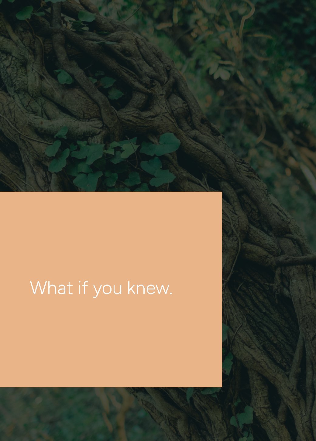 Unbound_Script5_ThumbnailV4_WhatIfYou_P (1)